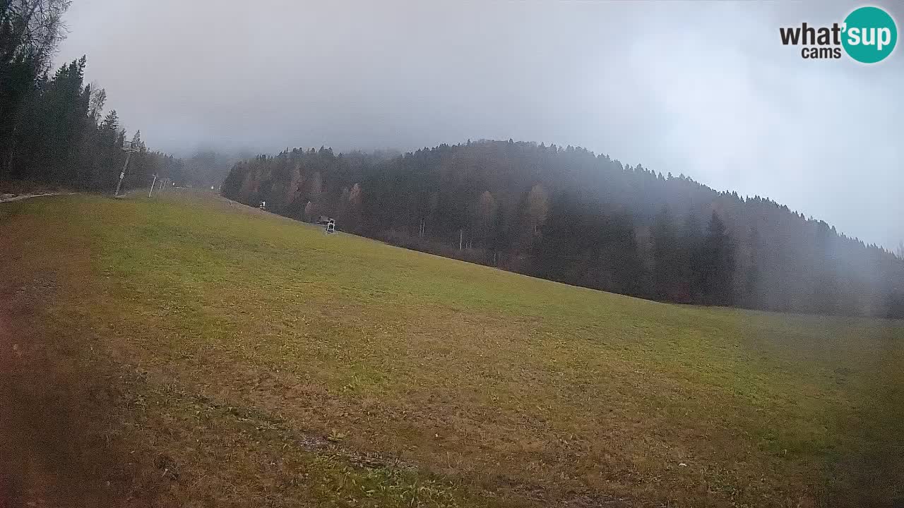 Comprensorio sciistico Kranjska Gora | Brsnina