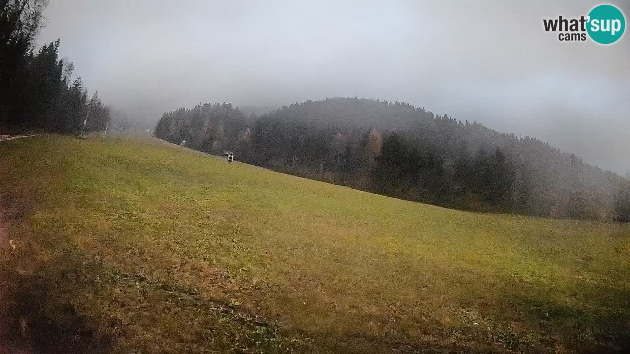 Kranjska Gora Station de ski | Brsnina