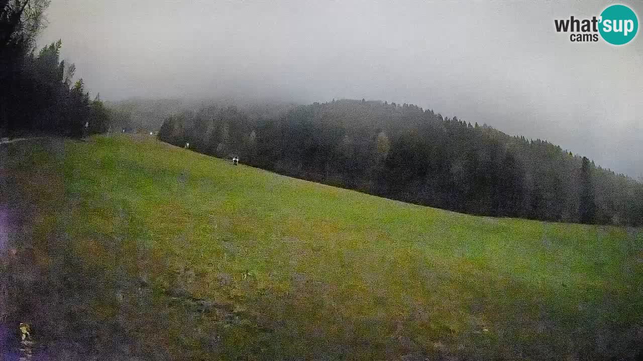 Kranjska Gora SKIJANJE | Brsnina