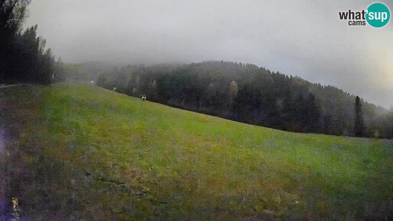 Comprensorio sciistico Kranjska Gora | Brsnina