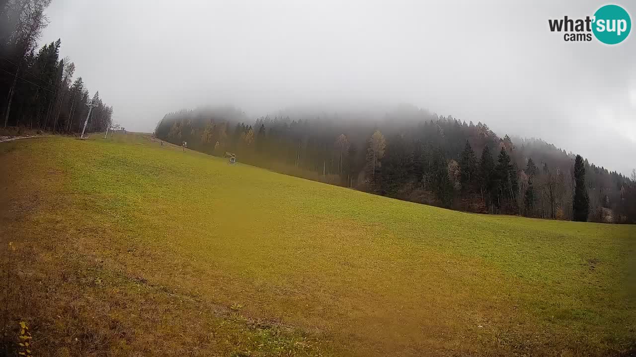 Esquí Kranjska Gora | Brsnina