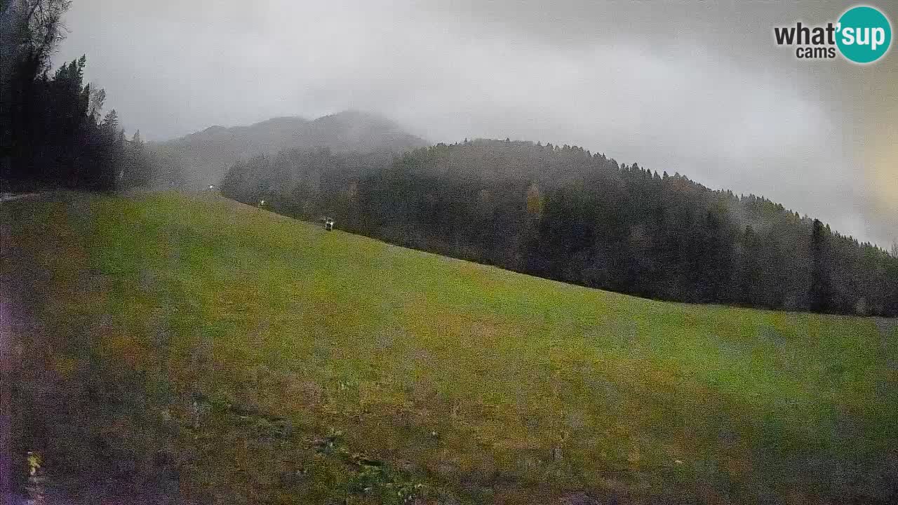 Comprensorio sciistico Kranjska Gora | Brsnina