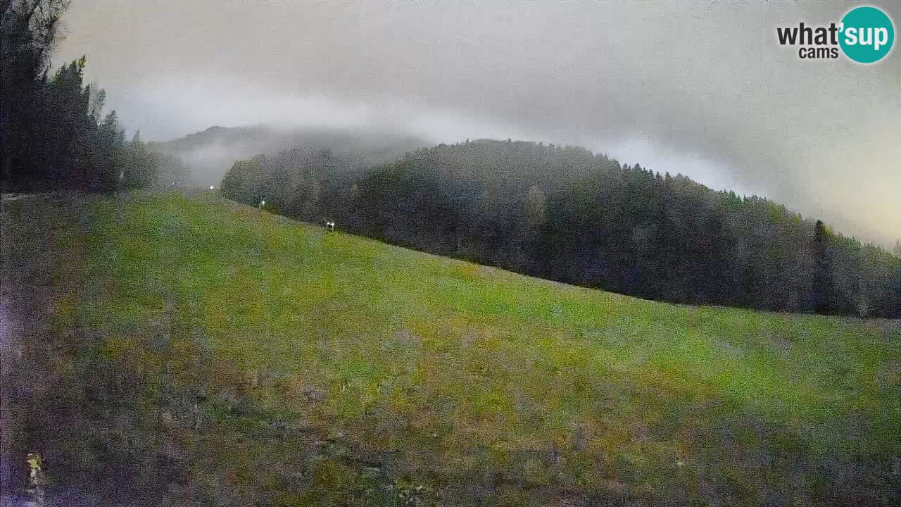 Kranjska Gora Station de ski | Brsnina