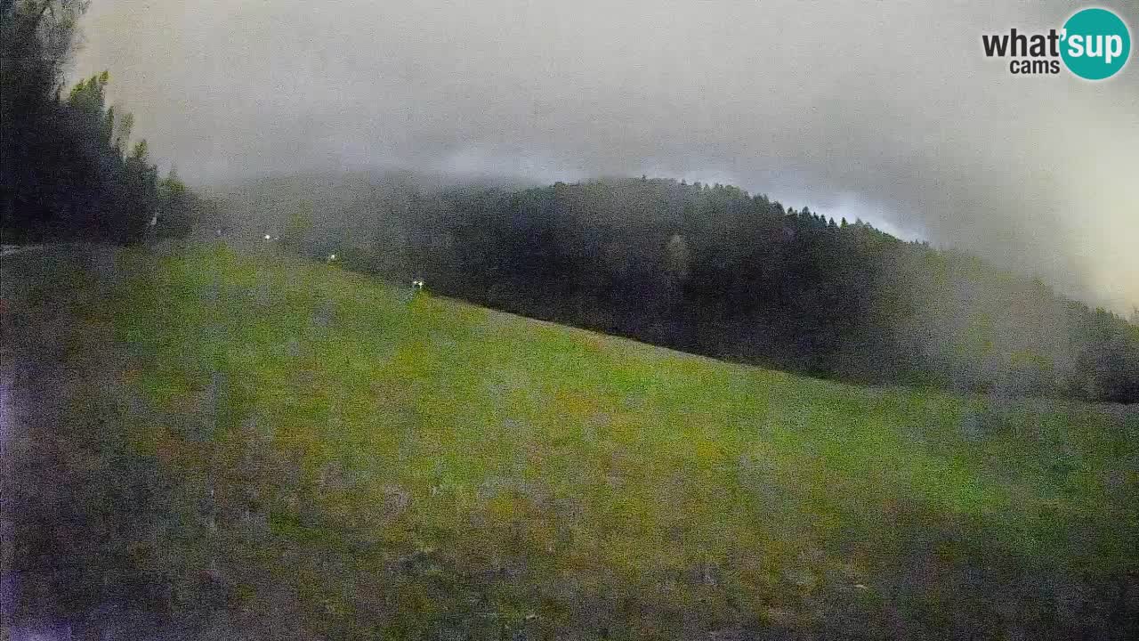 Ski Kranjska Gora | Brsnina