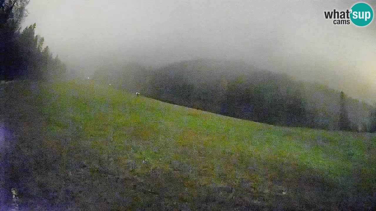 Ski Kranjska Gora | Brsnina