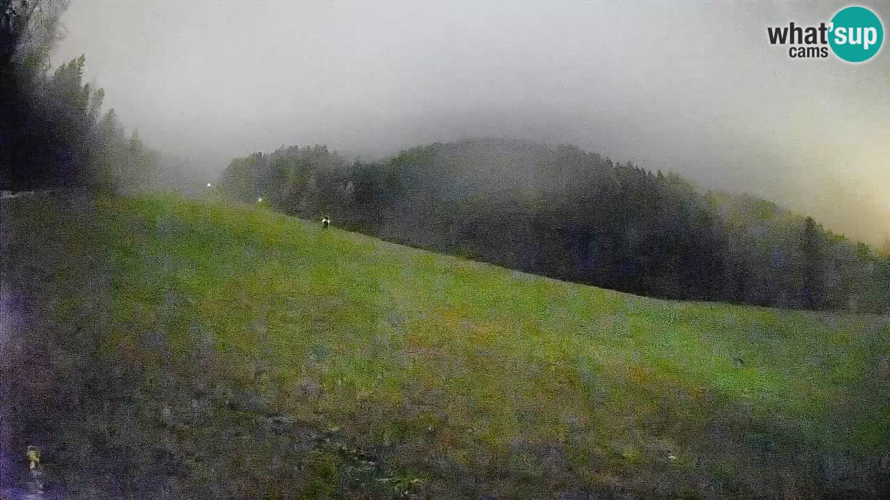 Ski Kranjska Gora | Brsnina