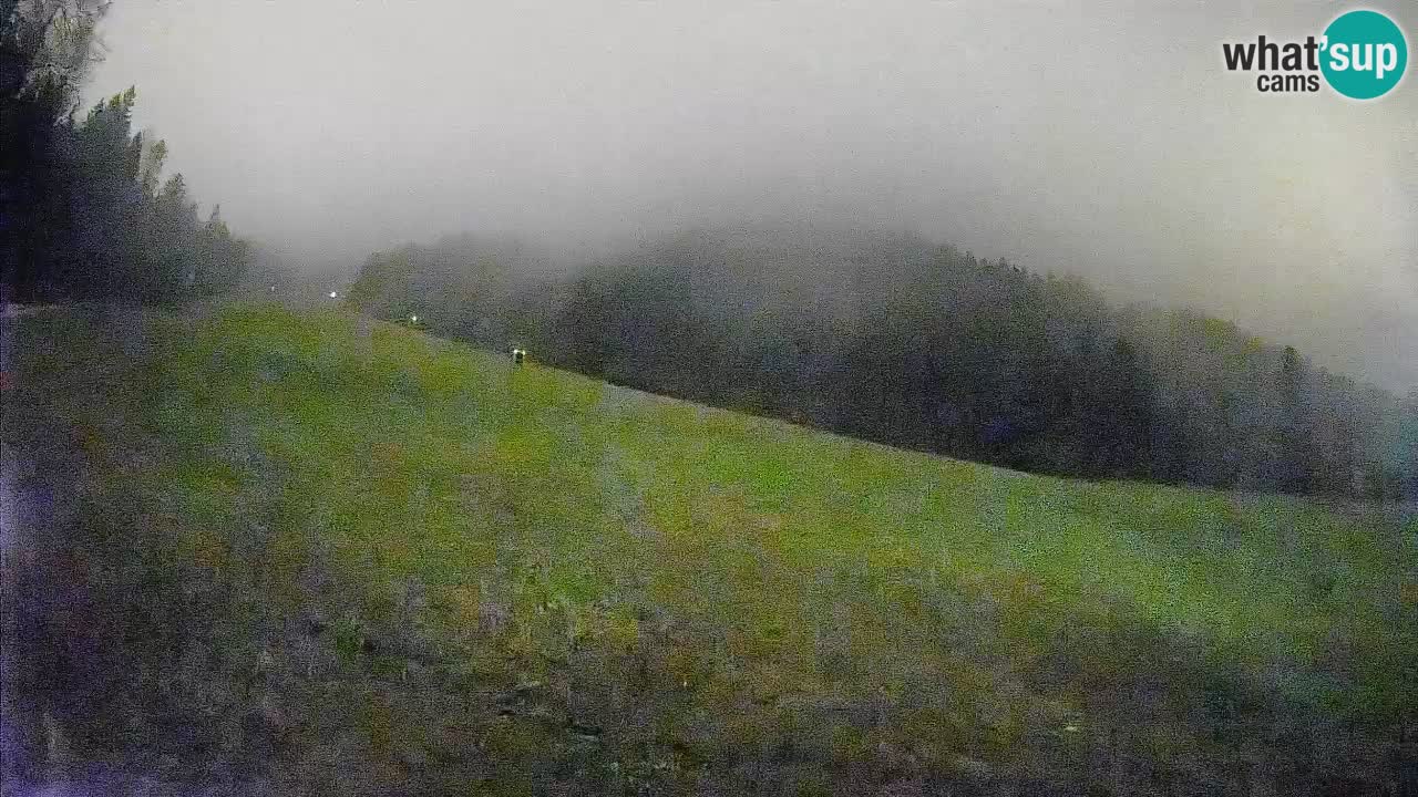 Ski Kranjska Gora | Brsnina