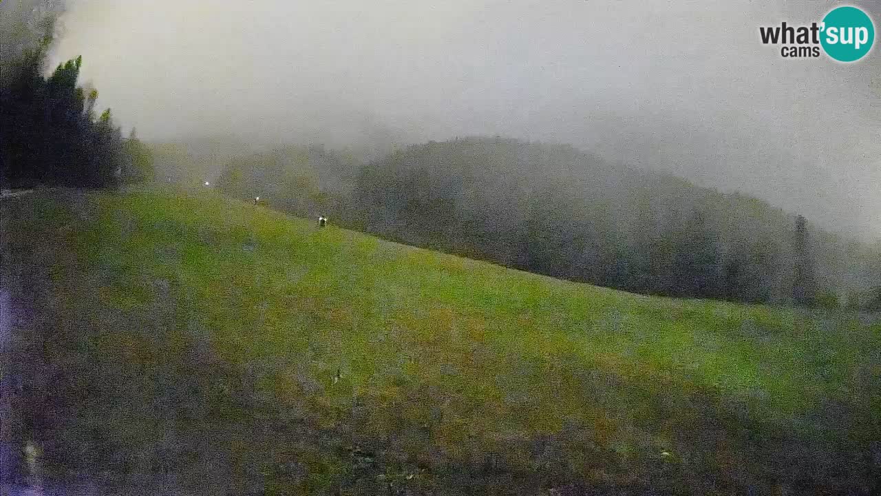 RTC Skigebiet Kranjska Gora | Brsnina