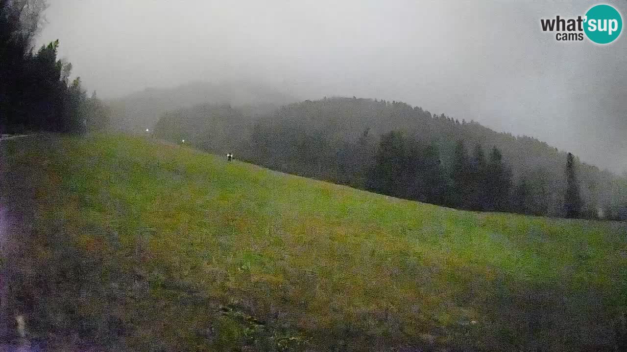 Ski Kranjska Gora | Brsnina