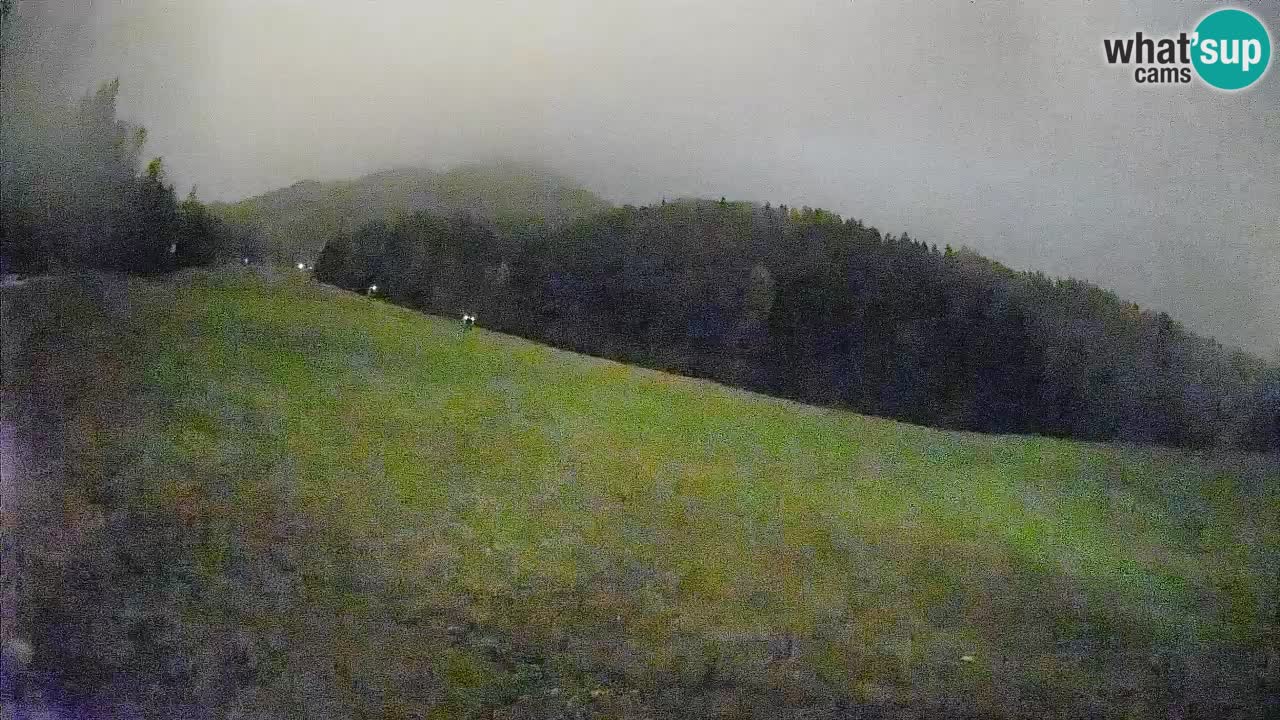 Ski Kranjska Gora | Brsnina