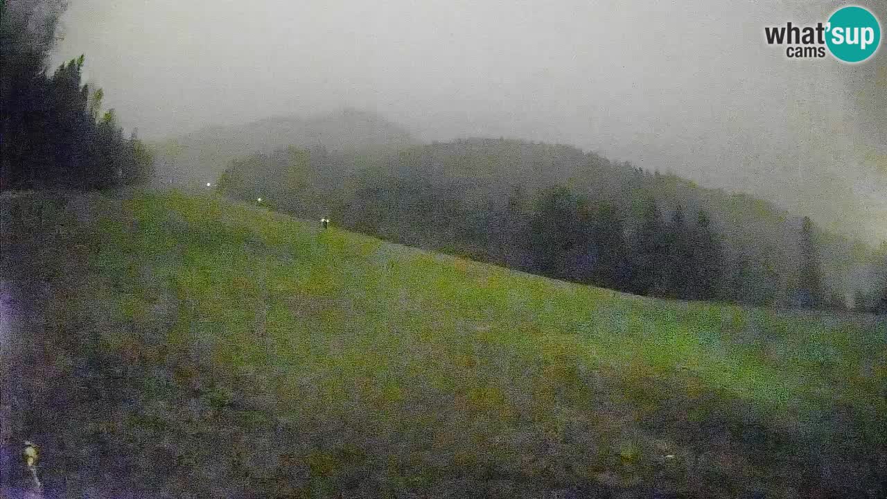 Ski Kranjska Gora | Brsnina