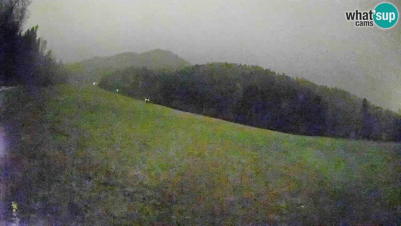 Comprensorio sciistico Kranjska Gora | Brsnina