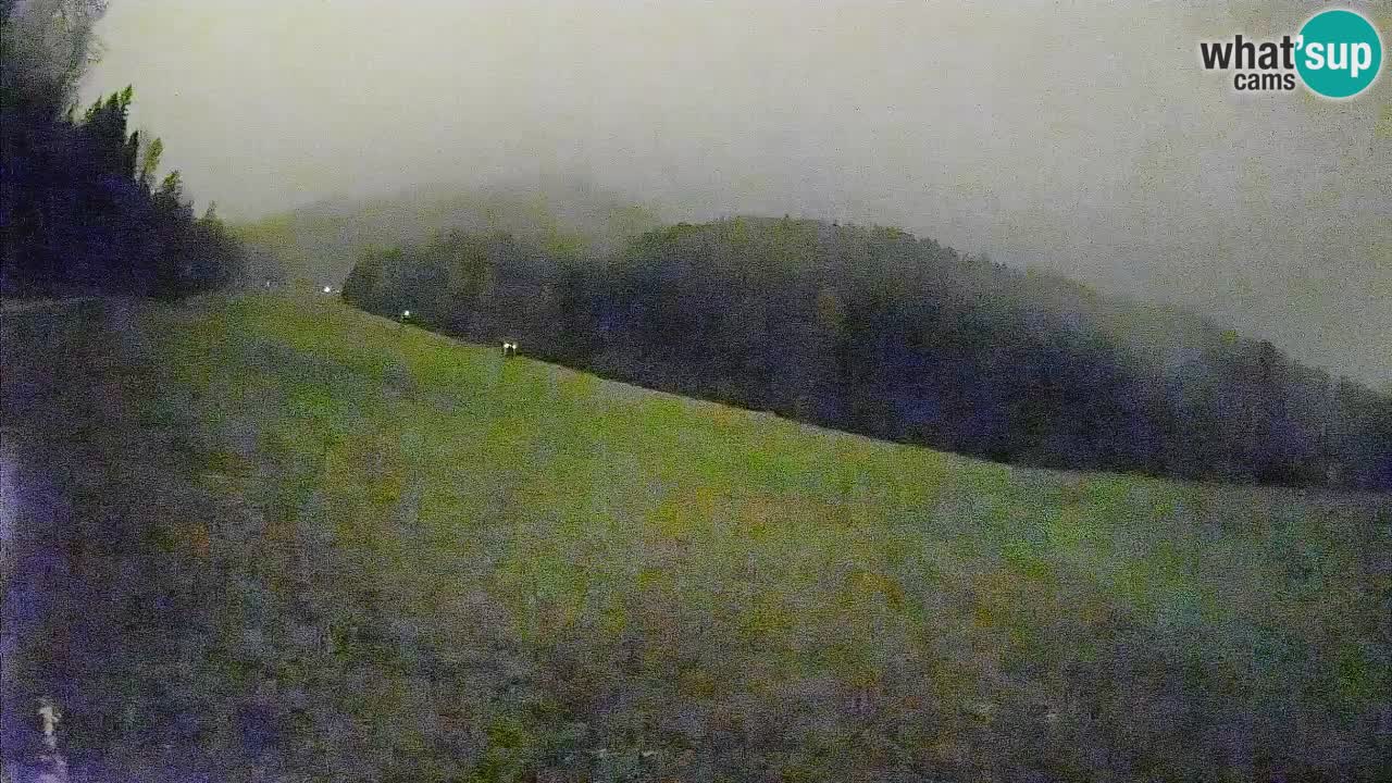 Kranjska Gora Station de ski | Brsnina