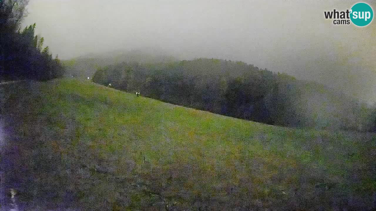 Esquí Kranjska Gora | Brsnina