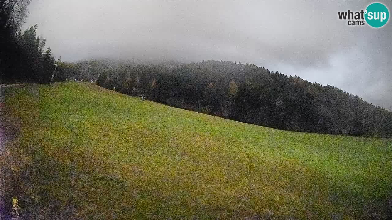 Kranjska Gora Station de ski | Brsnina