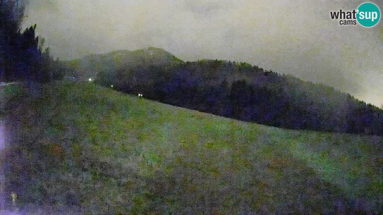 RTC Skigebiet Kranjska Gora | Brsnina