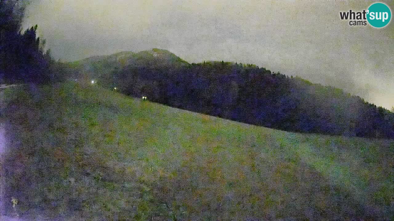 Ski Kranjska Gora | Brsnina