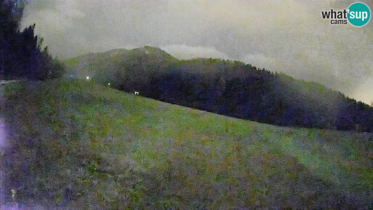 Esquí Kranjska Gora | Brsnina