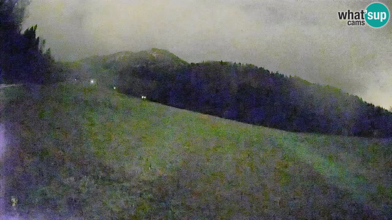 Ski Kranjska Gora | Brsnina