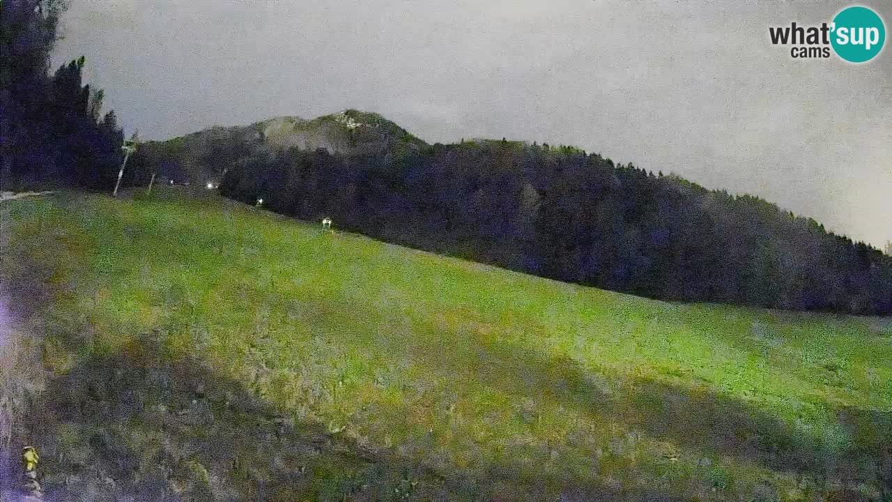 Ski Kranjska Gora | Brsnina