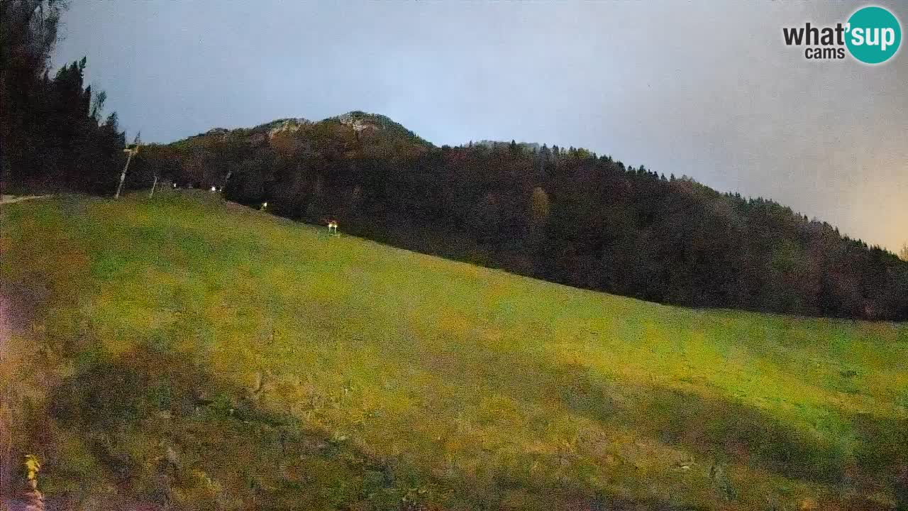 Ski Kranjska Gora | Brsnina