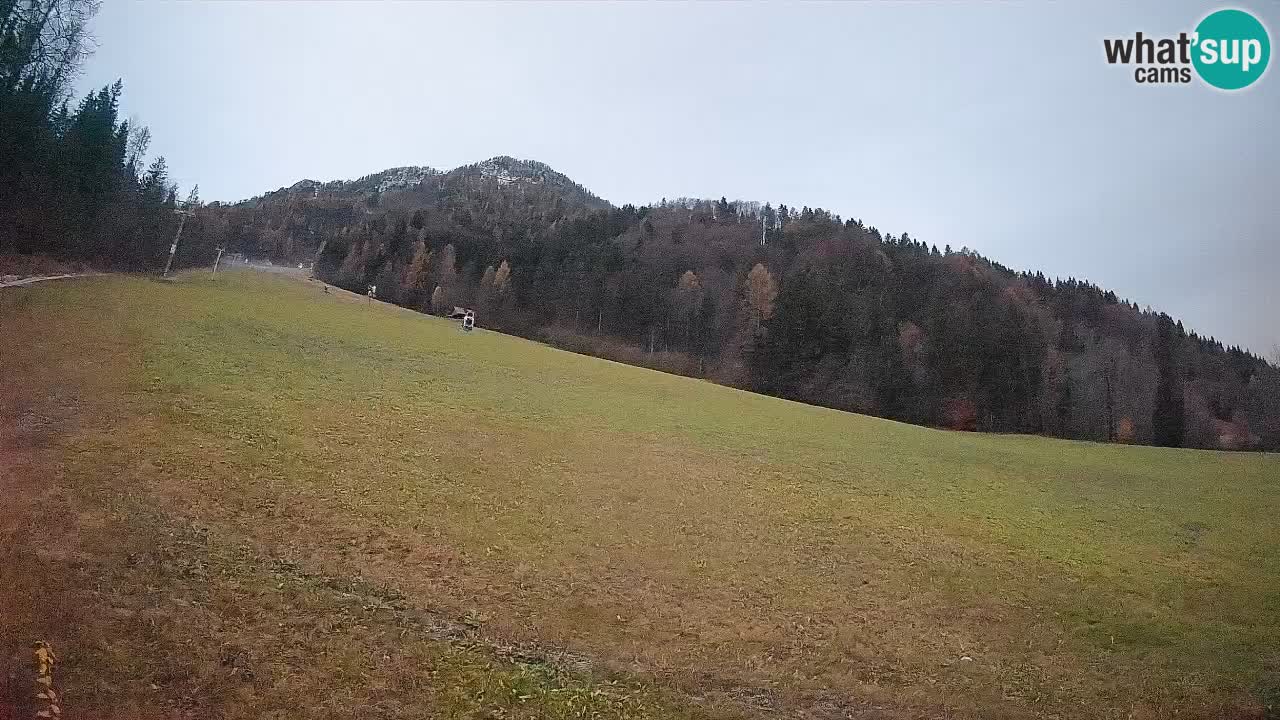 RTC Kranjska Gora | Brsnina