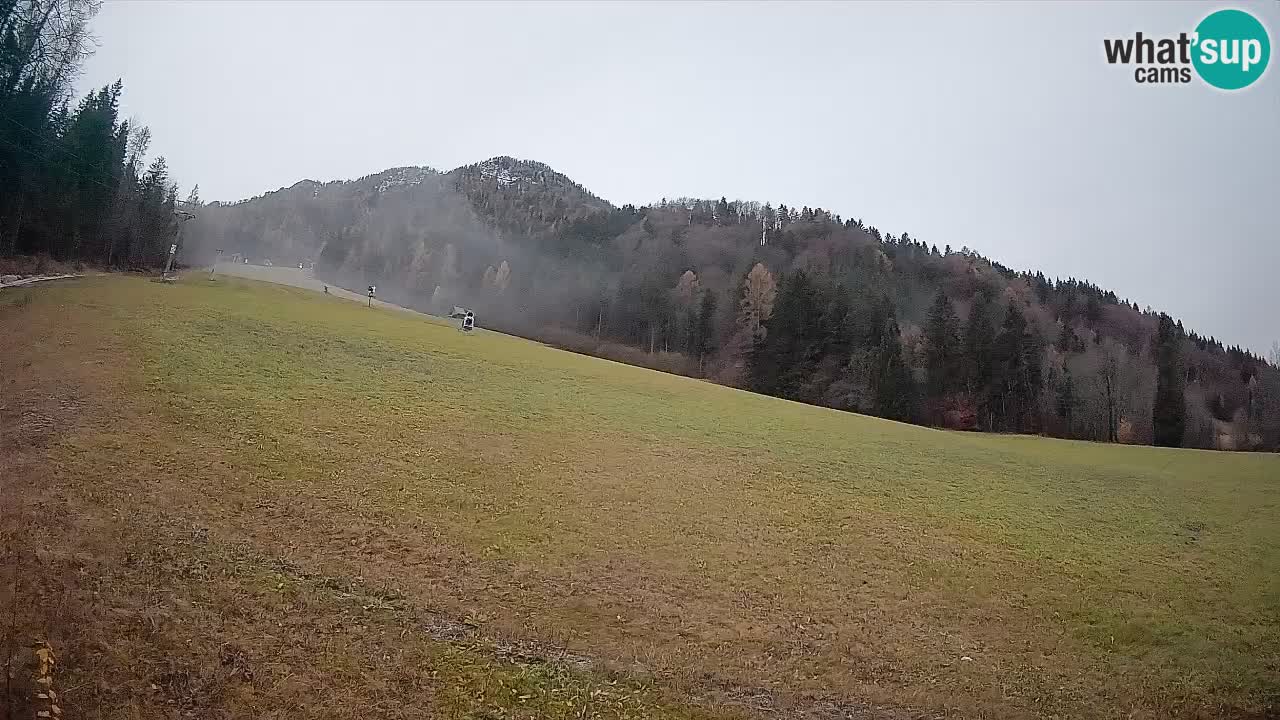 Kranjska Gora Station de ski | Brsnina