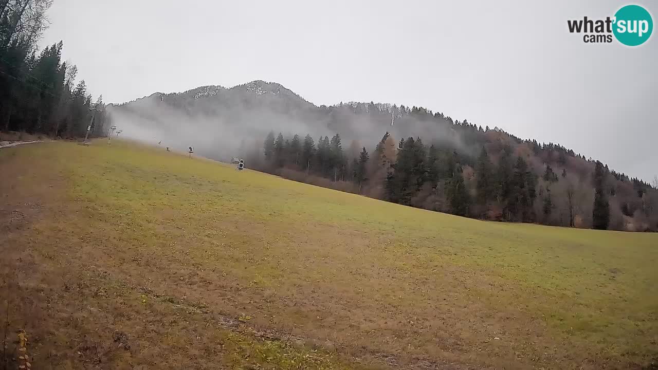RTC Skigebiet Kranjska Gora | Brsnina