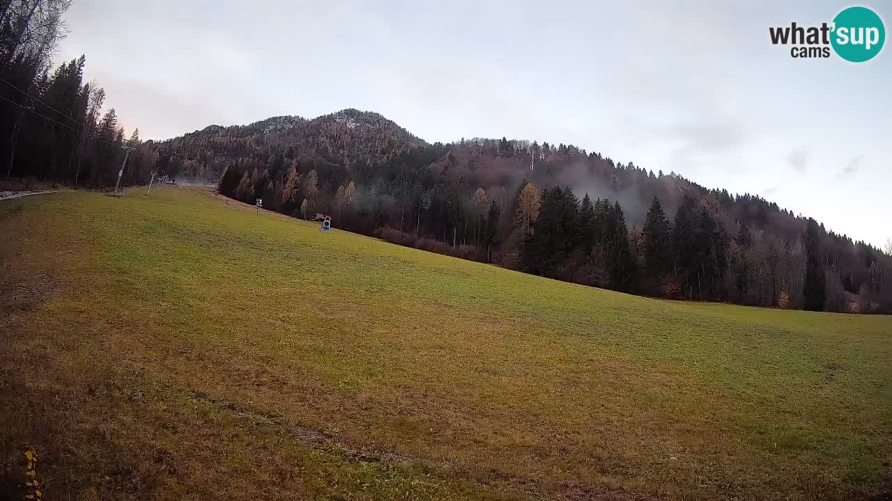 Esquí Kranjska Gora | Brsnina