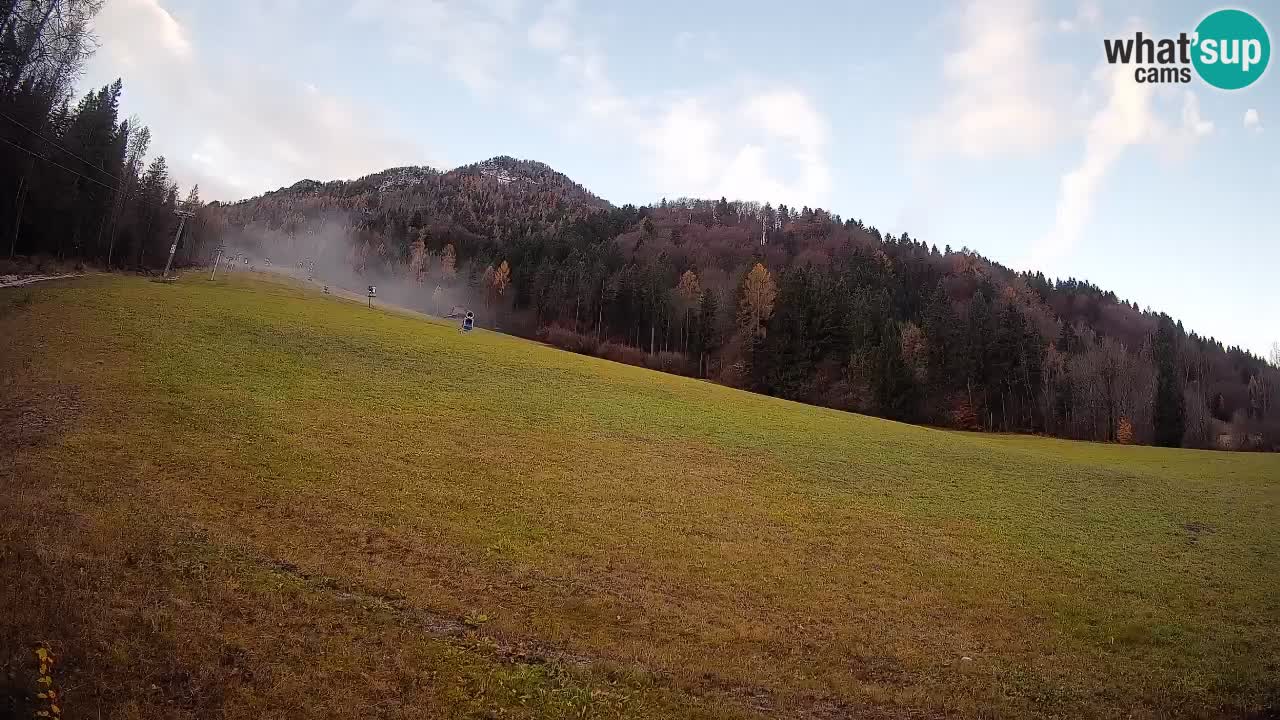 Esquí Kranjska Gora | Brsnina