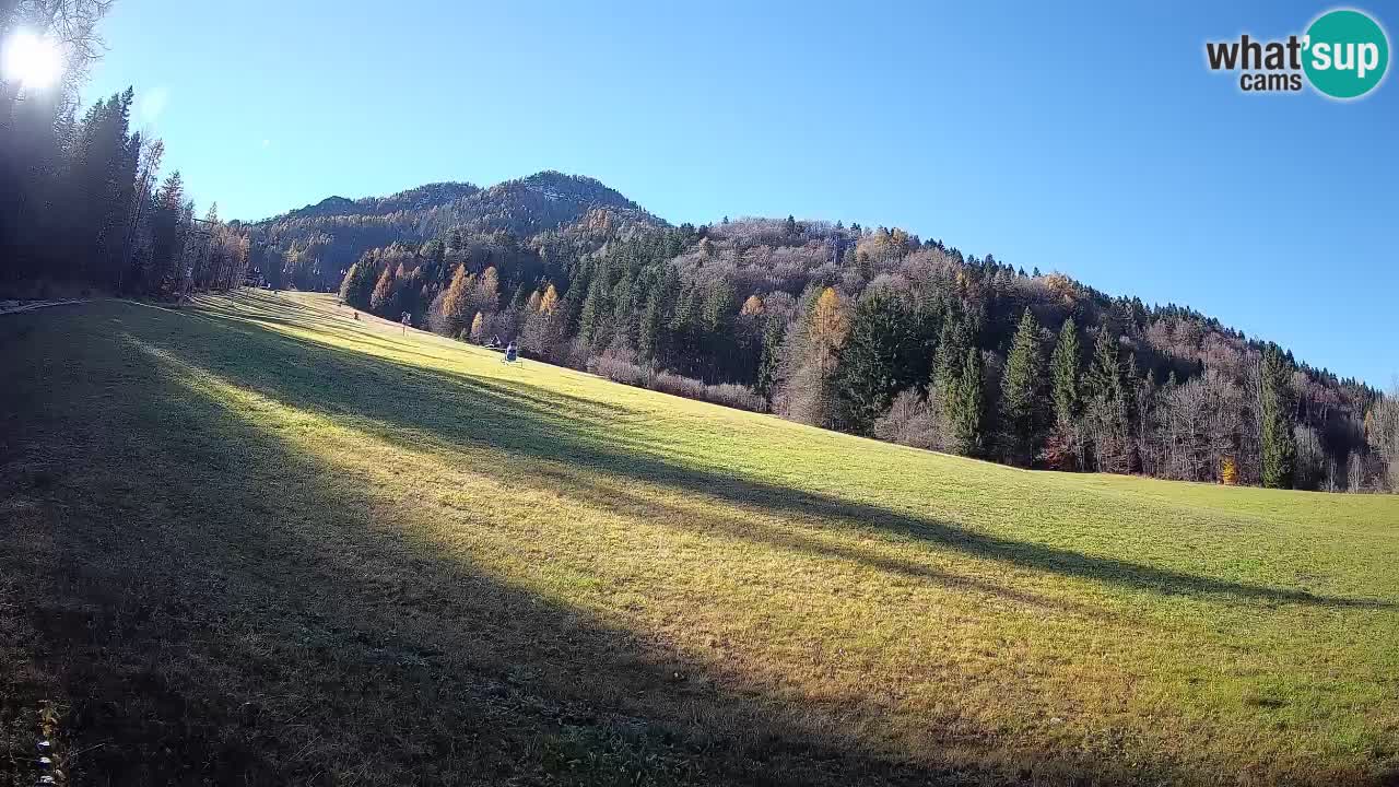 Kranjska Gora SKIJANJE | Brsnina