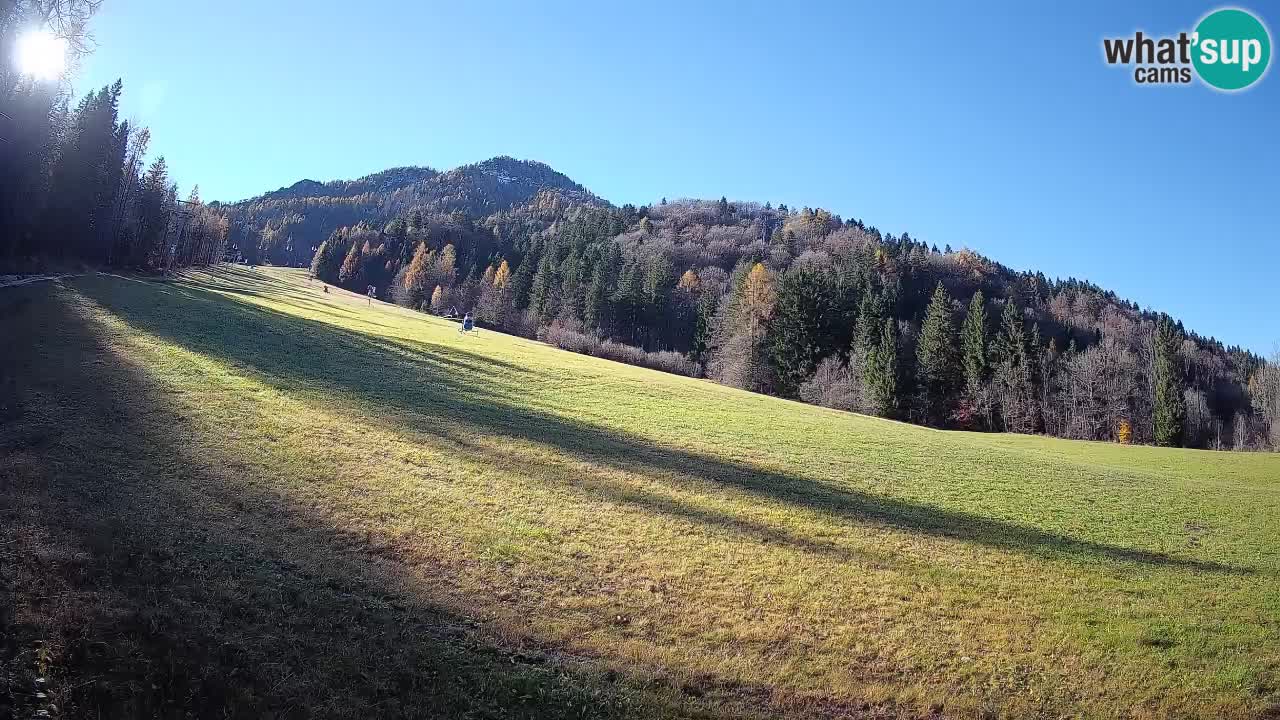 RTC Skigebiet Kranjska Gora | Brsnina