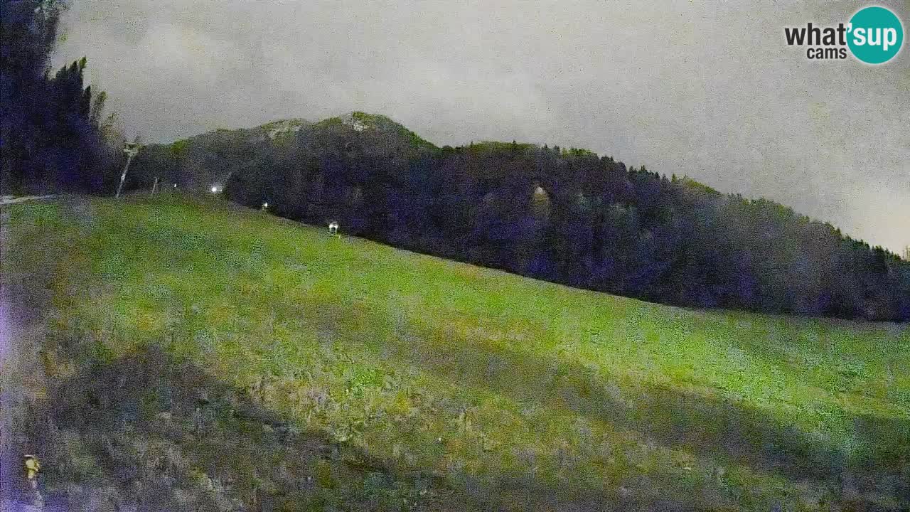 Comprensorio sciistico Kranjska Gora | Brsnina