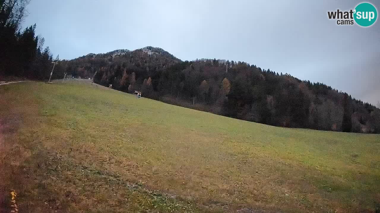 RTC Skigebiet Kranjska Gora | Brsnina