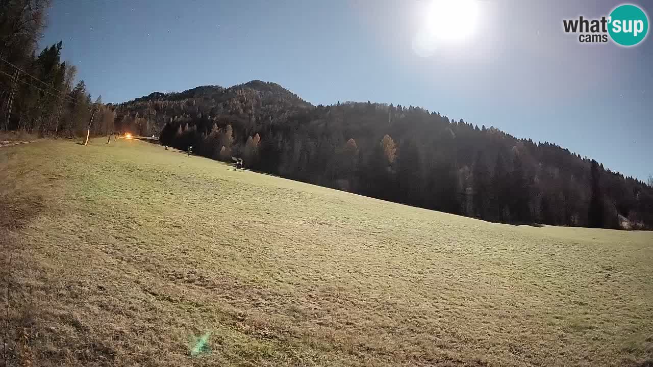 Ski Kranjska Gora | Brsnina