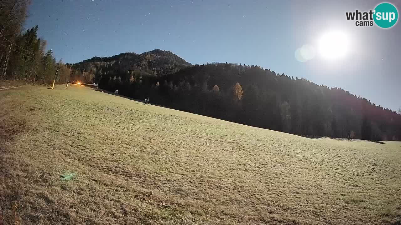 Comprensorio sciistico Kranjska Gora | Brsnina