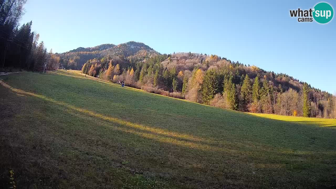 Ski Kranjska Gora | Brsnina