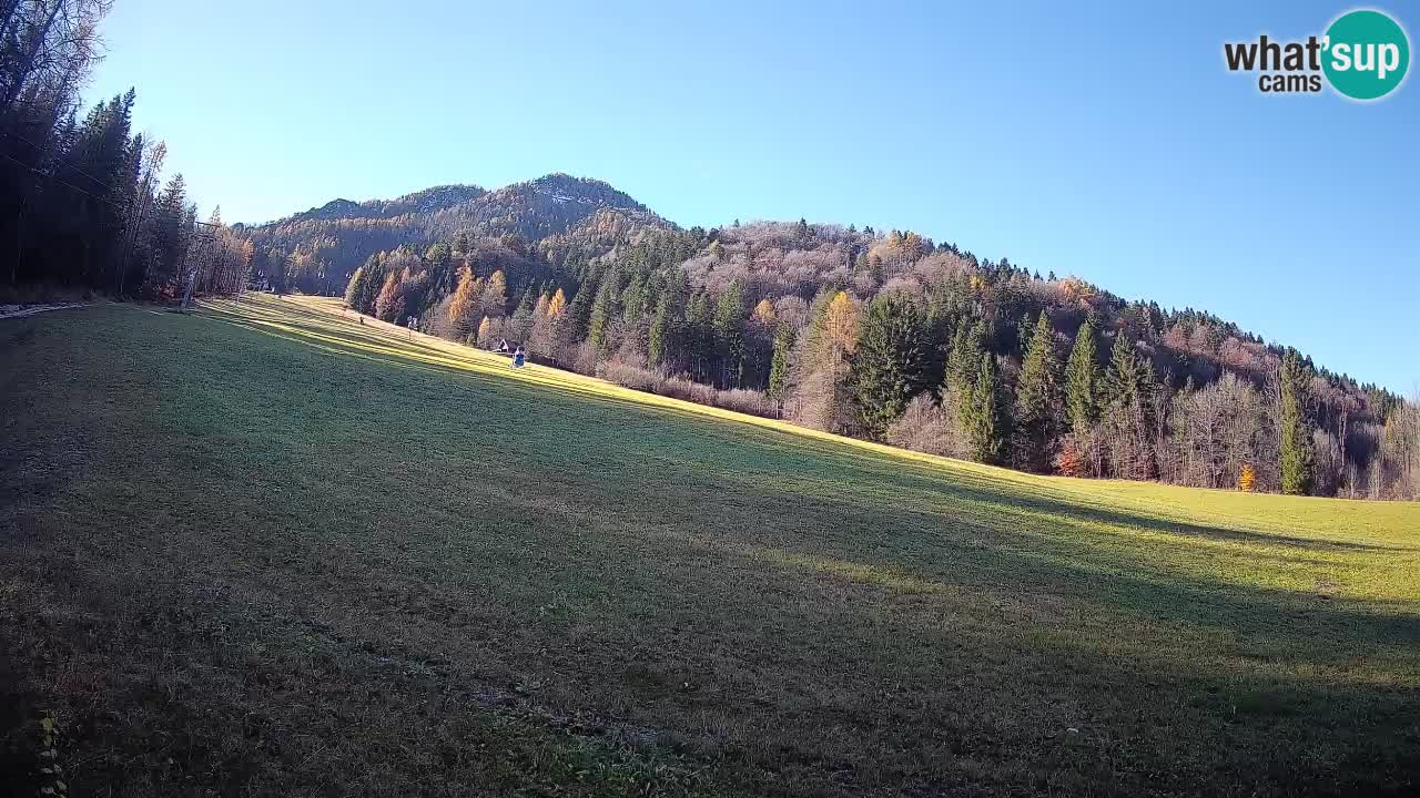 RTC Skigebiet Kranjska Gora | Brsnina