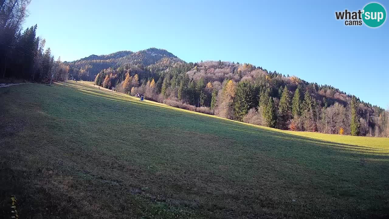 Esquí Kranjska Gora | Brsnina