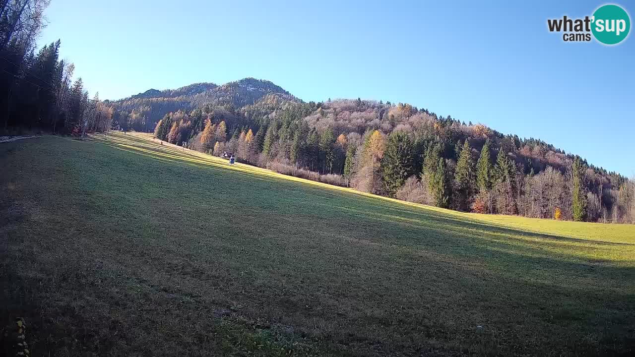 RTC Skigebiet Kranjska Gora | Brsnina