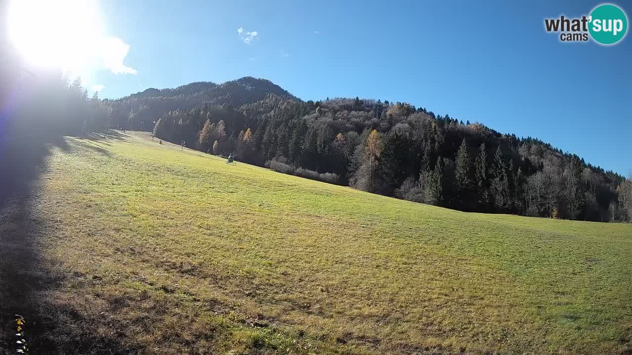 Ski Kranjska Gora | Brsnina