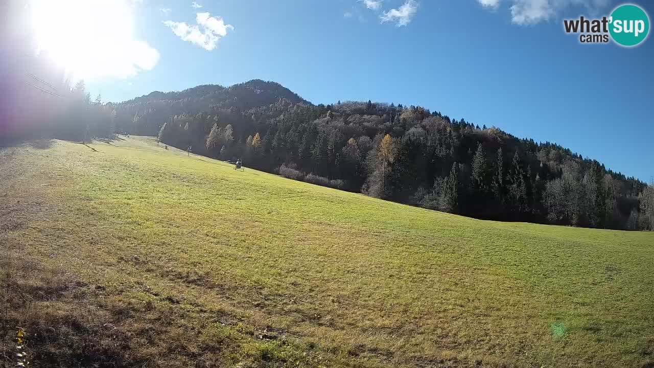 Kranjska Gora SKIJANJE | Brsnina