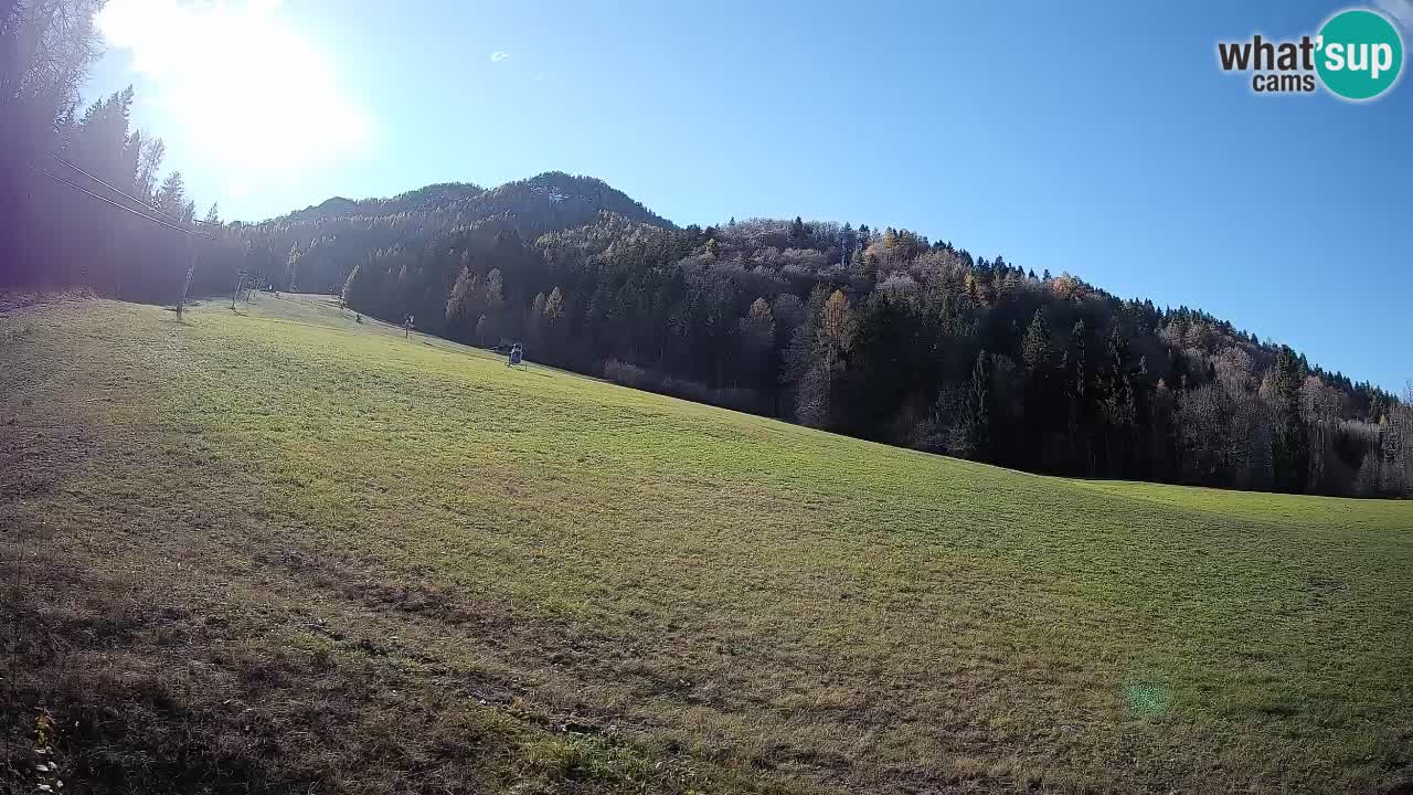RTC Kranjska Gora | Brsnina