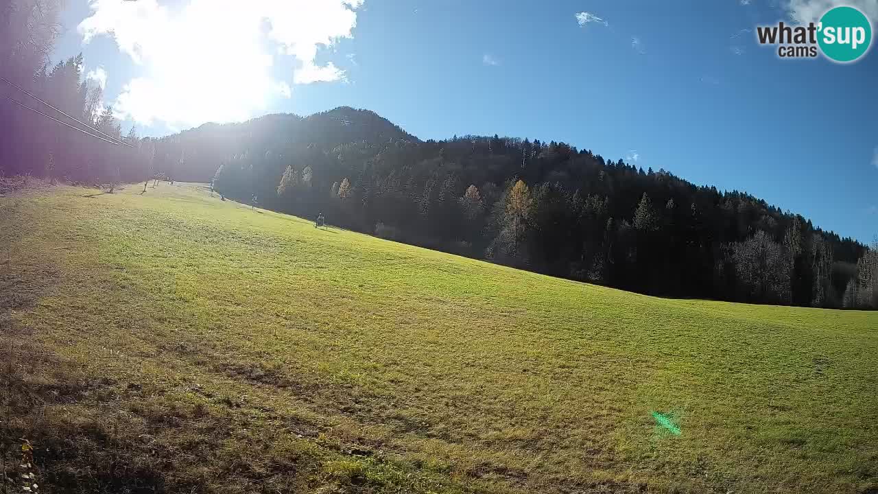 RTC Skigebiet Kranjska Gora | Brsnina