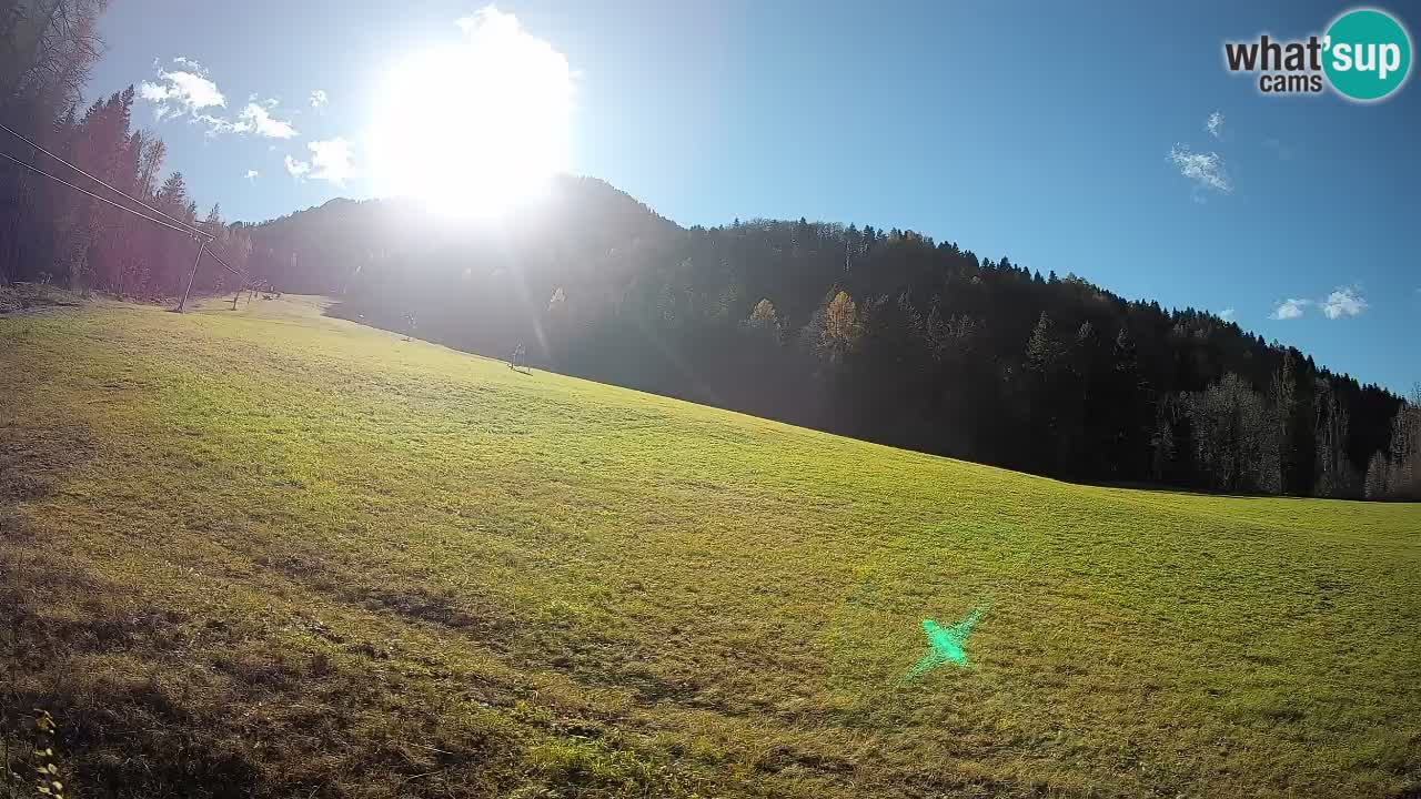 Comprensorio sciistico Kranjska Gora | Brsnina