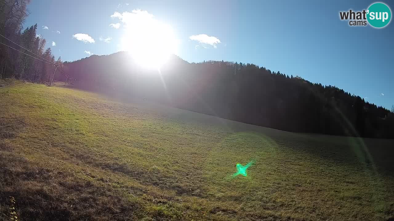 Kranjska Gora Station de ski | Brsnina