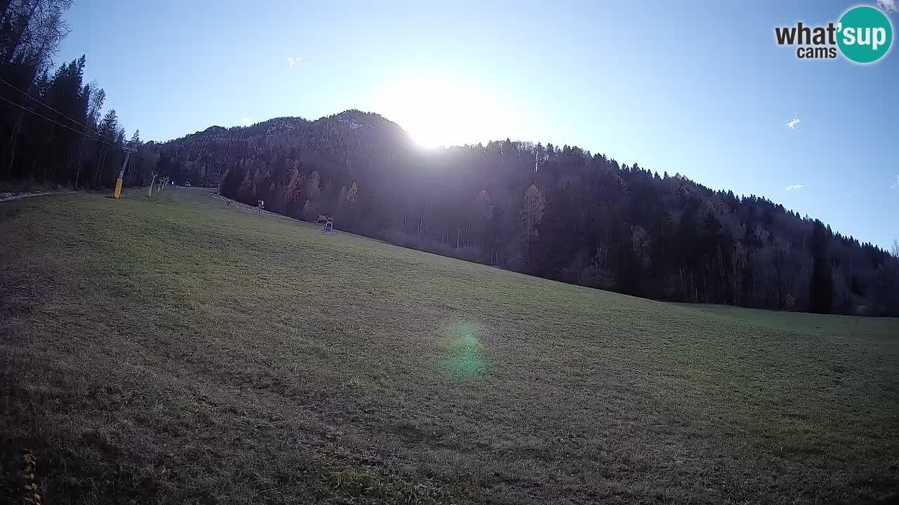 Kranjska Gora SKIJANJE | Brsnina