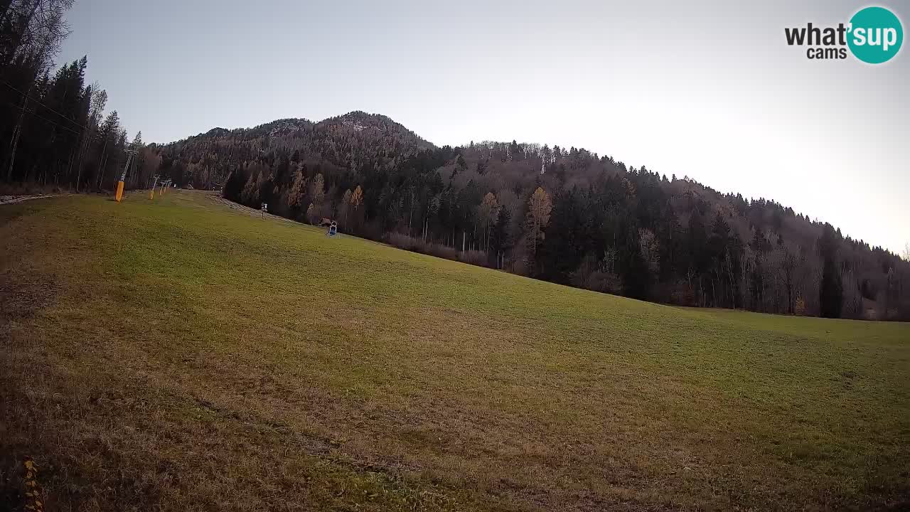 RTC Kranjska Gora | Brsnina