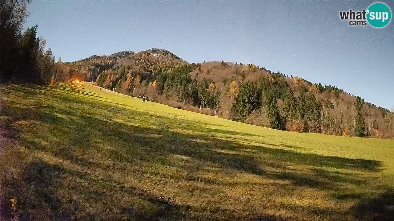 RTC Kranjska Gora | Brsnina