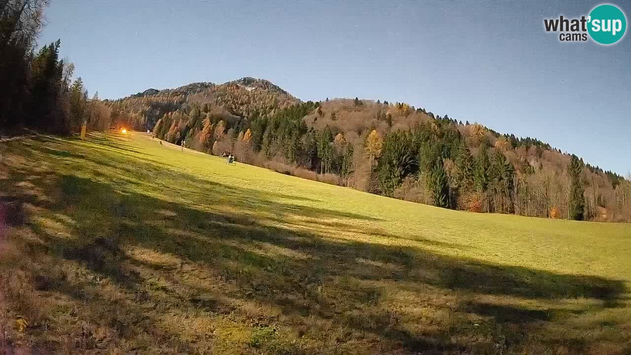 Ski Kranjska Gora | Brsnina